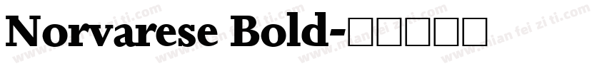 Norvarese Bold字体转换